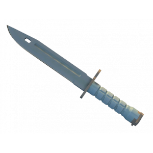 Bayonet | Night