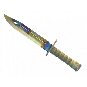 Bayonet | Case Hardened