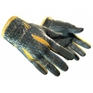 Sport Gloves | Omega