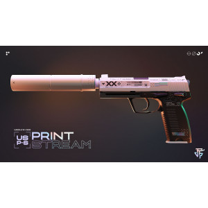 USP-S | Printstream (Battle-Scarred)